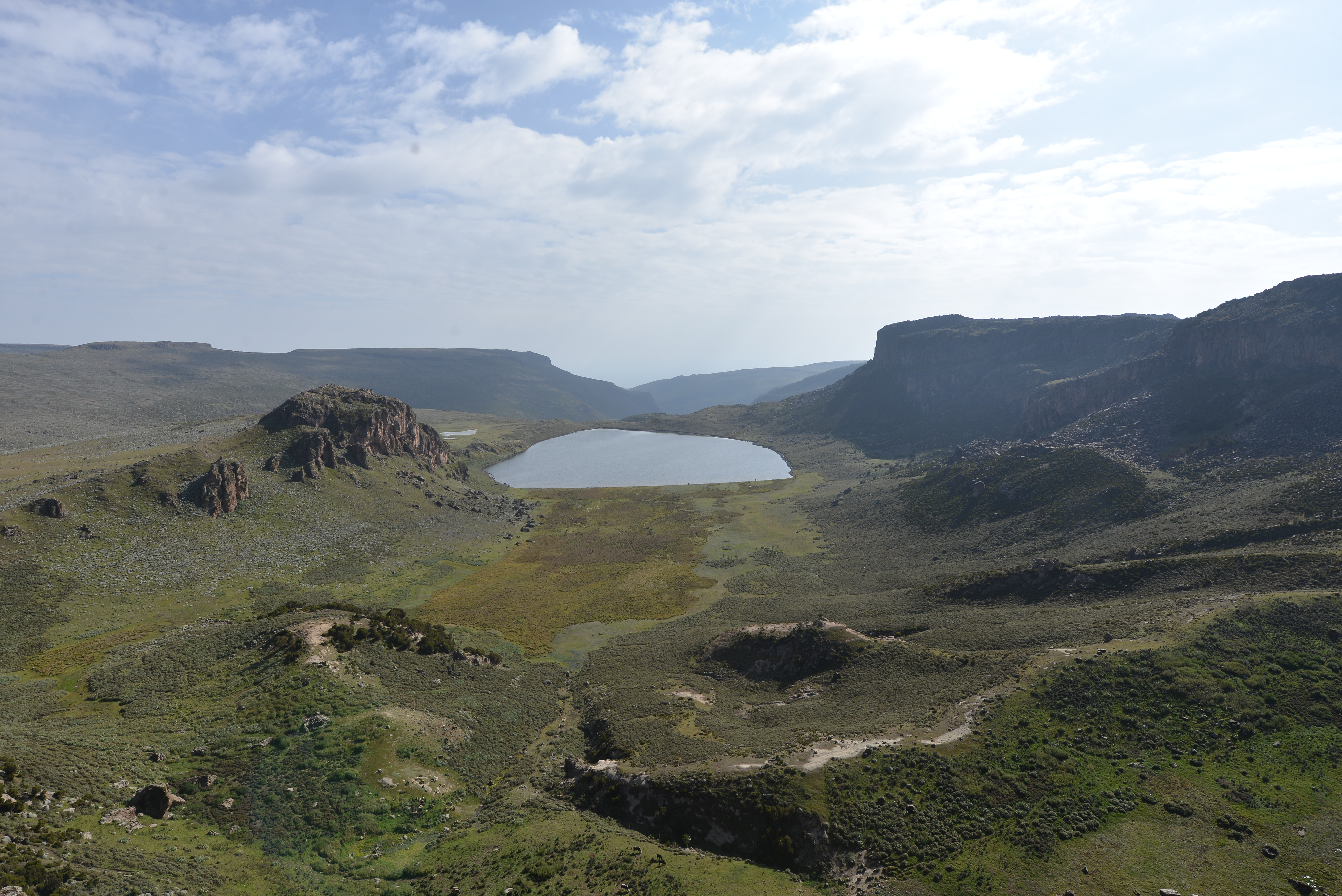 Garbaguracha view on the Sanetti Plateau, Bale Mountains National Park.